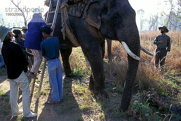 Kanha-Nationalpark  Indien.