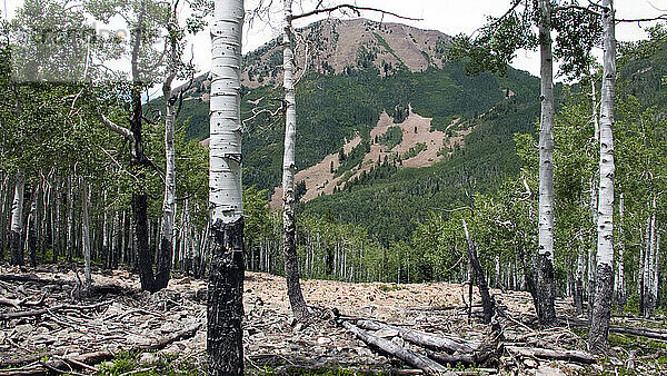 Colorado-Berge in Colorado.