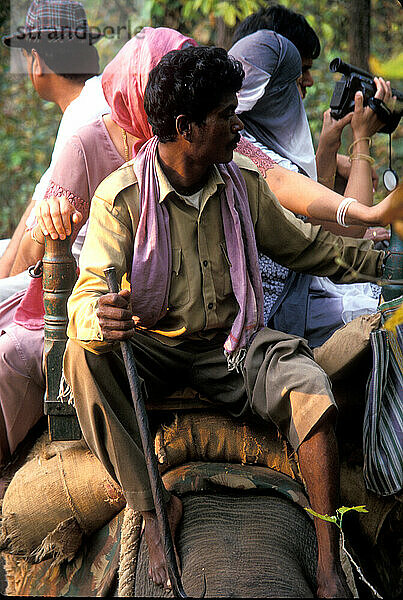 Kanha-Nationalpark  Indien