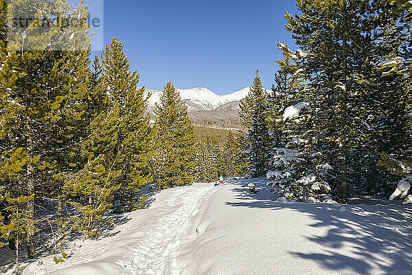 Winterlandschaft im Norden Colorados