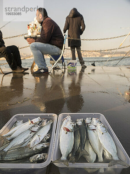 Männer mit Frischfischbehälter vor dem Meer in Istanbul  Türkei.