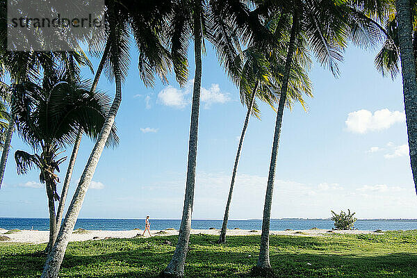 Eine Frau geht zwischen Palmen am Strand von Playa Larga  Kuba