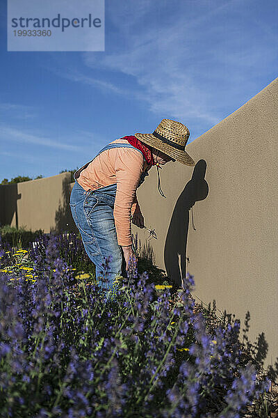 USA  New Mexico  Santa Fe  Frau mit Strohhut und Jeansoverall bei der Gartenarbeit