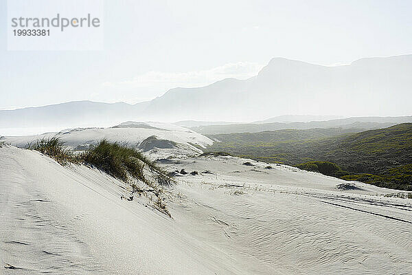 Südafrika  Hermanus  Sandlandschaft im Walker Bay Nature Reserve