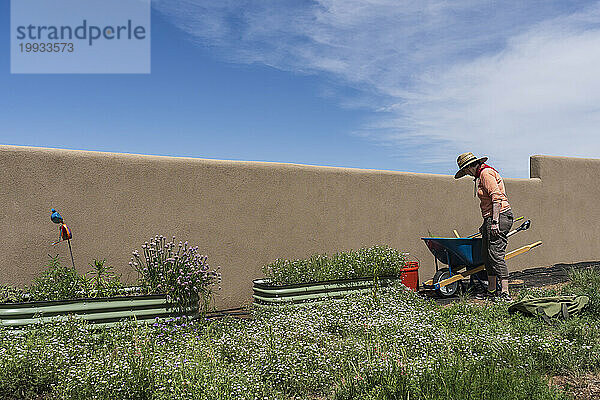 USA  Colorado  Creede  Frau bei der Gartenarbeit in der High Desert