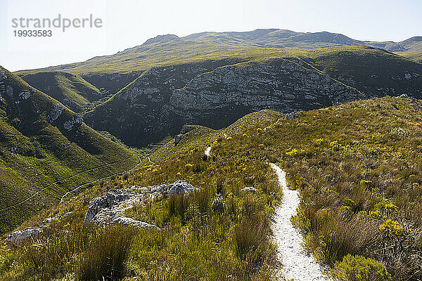 Südafrika  Hermanus  Fußweg zwischen Hügeln im Naturschutzgebiet Fernkloof