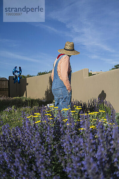 USA  New Mexico  Santa Fe  Frau mit Strohhut und Jeansoverall steht im Garten