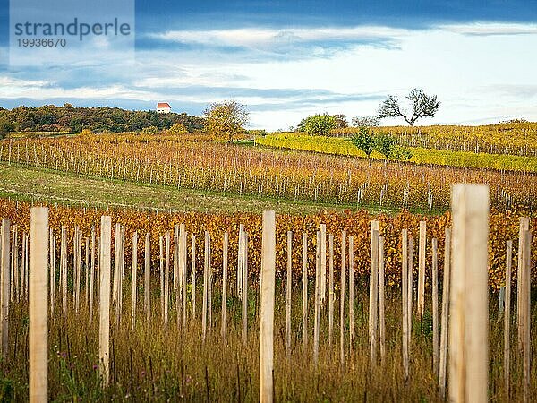 Burgenland Österreich Weinbergsplantage mit Kapelle auf einem Hügel