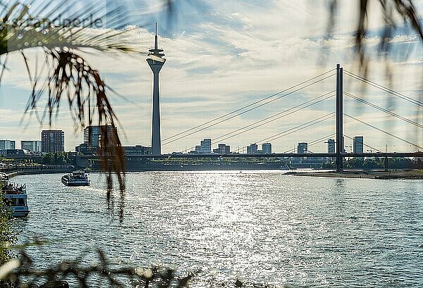 Rhein mit Rheinturm und Rheinkniebrücke im Gegenlicht