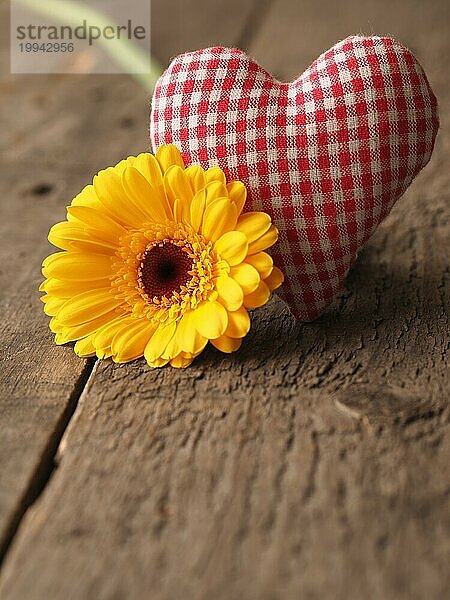 Checkered Stoff Herzform mit einer gelben Gerbera Gänseblümchen auf einem rustikalen Holztisch  Valentinstag oder Muttertag Konzept Hintergrund mit Platz für Text