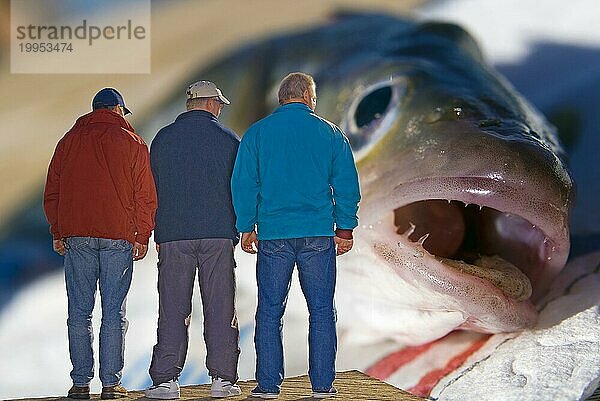 3 Männer und 1 Fisch