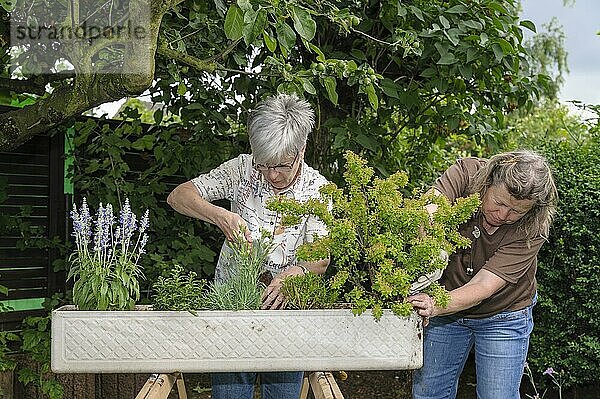 2 Frauen bepflanzen einen Blumenkasten für den Balkon