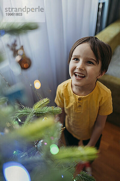 Glücklicher Junge  der den Weihnachtsbaum betrachtet