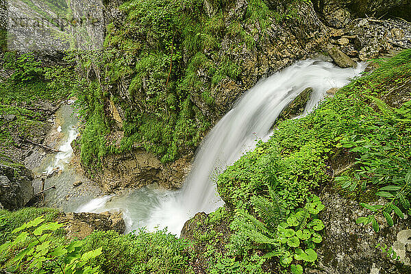 Österreich  Tirol  Wasserfall plätschert die Wolfsklamm hinab