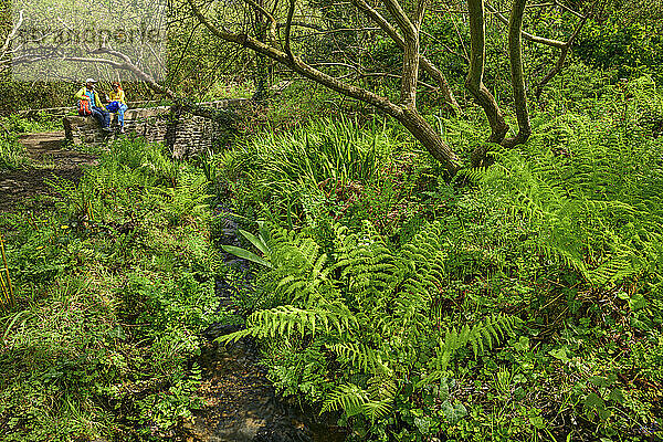 Frankreich  Bretagne  Zwei Wanderer sitzen auf einer Steinmauer in einem grünen  üppigen Wald