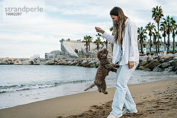 Junge Frau spielt mit Pudelhund und springt am Strand
