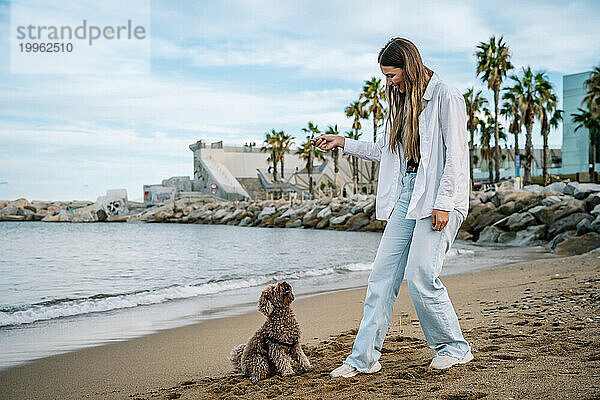 Glückliche junge Frau  die am Strand mit einem Pudelhund spielt
