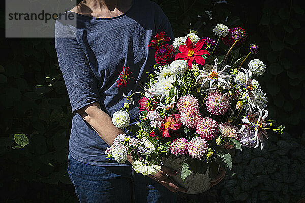 Midsection of woman holding large bouquet of various dahlias