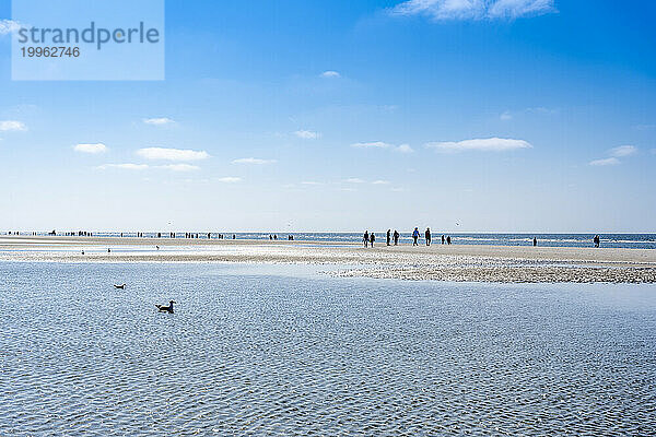 Germany  Schleswig-Holstein  St. Peter-Ording  People standing along North Sea beach