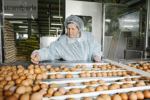 Tierarzt untersucht die Qualität der Eier in der Fabrik