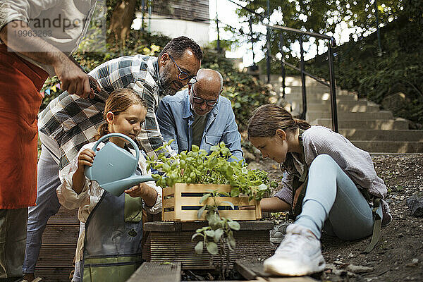 Freiwillige bei einem Nachbarschaftsprojekt pflanzen Kräuter im Gemeinschaftsgarten
