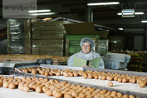 Tierarzt erstellt Bericht über Eier in Geflügelfarm
