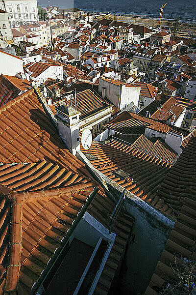 Houses with Brown rooftops on sunny day in Lisbon  Portugal