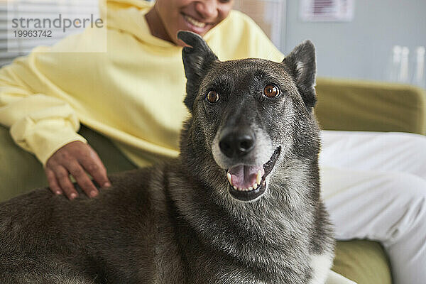 Hund und Frau sitzen auf dem Sofa in der Klinik