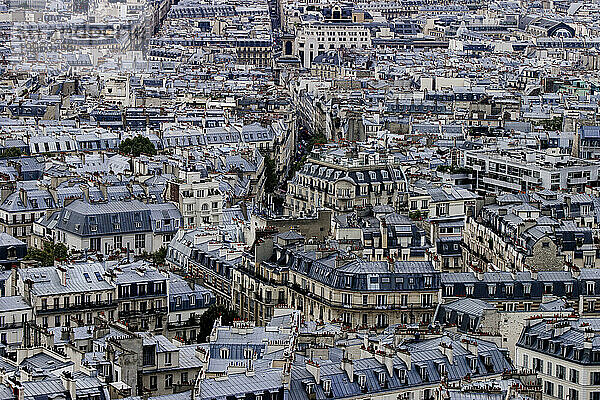 Buildings with blue rooftop in Paris  France