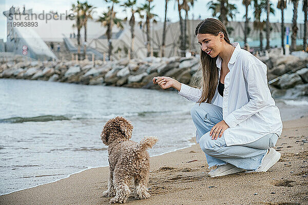 Lächelnde Frau kauert und spielt mit Pudelhund am Strand