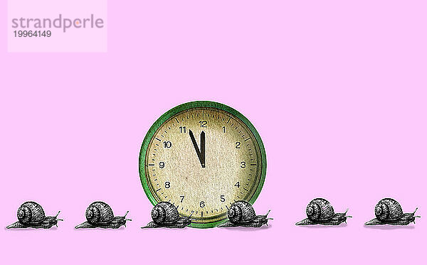 Snails crawling near clock against pink background