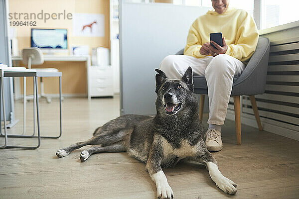 Frau benutzt Smartphone mit Hund auf dem Boden in Tierklinik