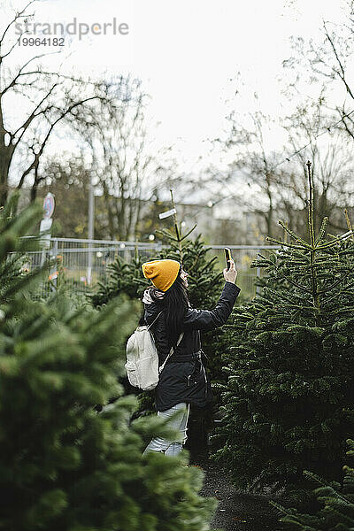 Frau fotografiert Tanne mit Smartphone auf Weihnachtsmarkt