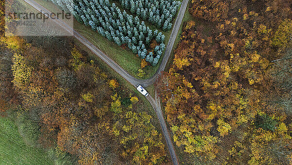 Auto auf der Straße inmitten von Bäumen im Wald