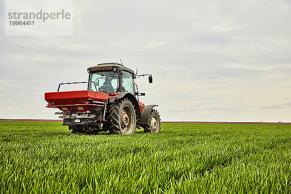 Farmer driving tractor and spraying fertilizer on wheat field