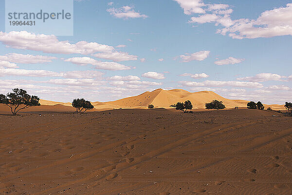 Sahara-Wüste bei Merzouga  Marokko  Afrika