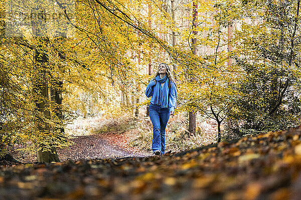 Lächelnde Frau  die im Wald von Cannock Chase spaziert