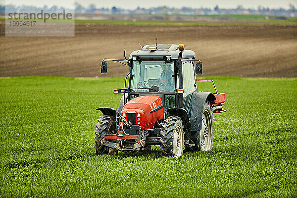 Junger Bauer im Traktor düngt Weizenfeld