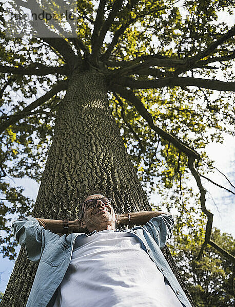 Älterer Mann mit den Händen hinter dem Kopf  der sich an einen Baum lehnt