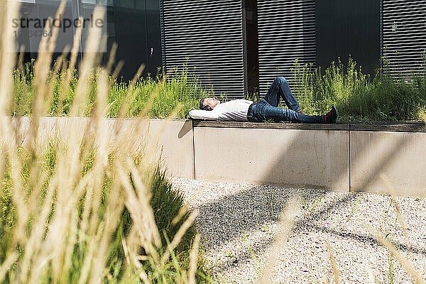 Geschäftsmann entspannt sich an sonnigen Tagen in der Nähe von Pflanzen