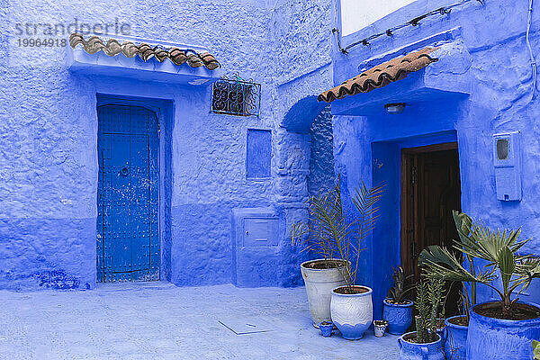 Türen blauer Häuser in Chefchaouen in Marokko  Afrika