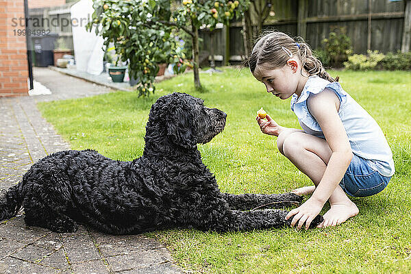 Mädchen kauert neben Hund  der auf Gras im Hinterhof sitzt