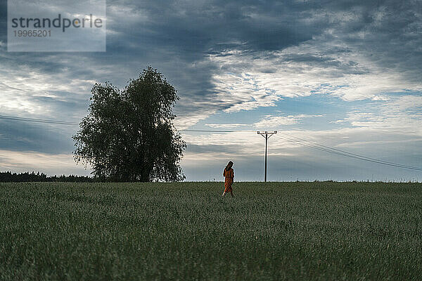 Frau spaziert bei Sonnenuntergang im Maisfeld