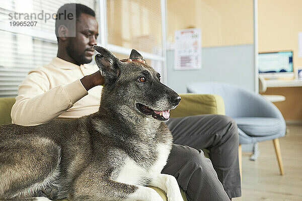 Young man sitting with dog on sofa in clinic