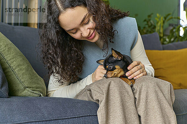 Lächelnde Frau streichelt Chihuahua  der zu Hause auf dem Sofa sitzt