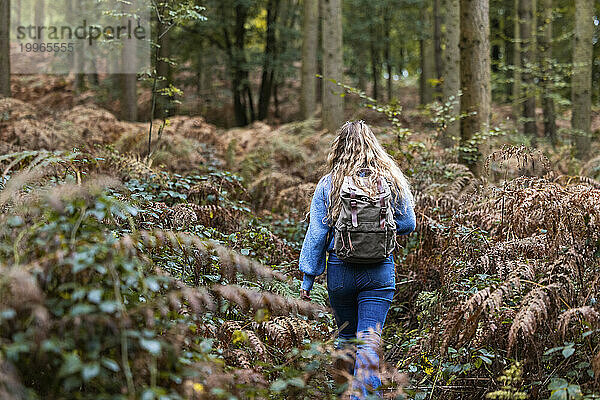 Blonde Frau spaziert mit Rucksack im Cannock Chase Forest