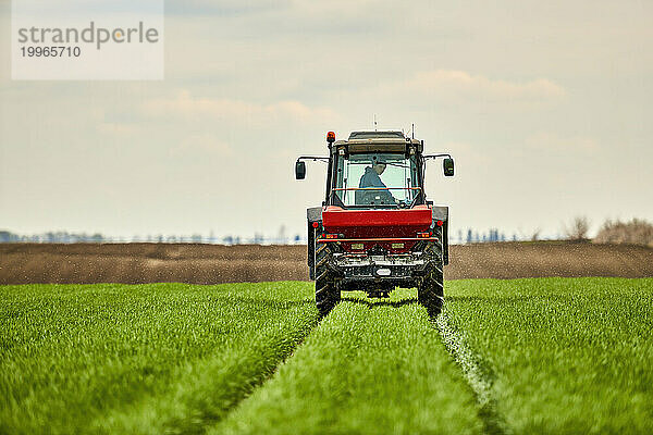 Farmer in tractor fertilizing wheat field