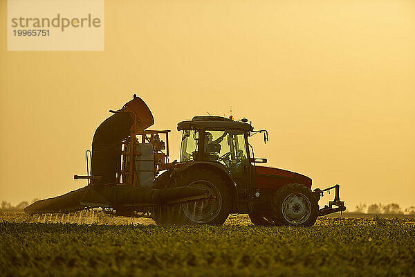 Reifer Bauer im Traktor sprüht Dünger auf Maisfeld unter freiem Himmel