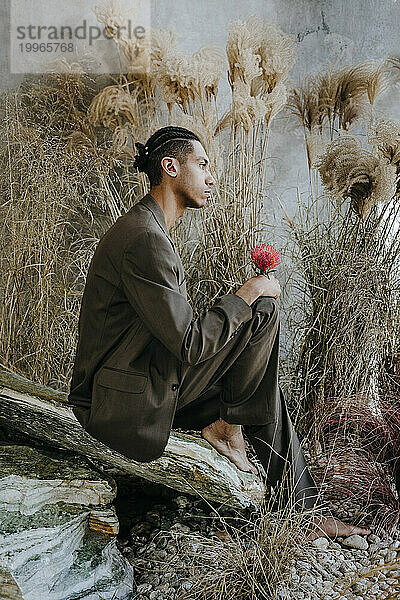 Nachdenklicher Geschäftsmann hält eine Nadelkissenblume in der Hand und sitzt auf einem Felsen im Garten