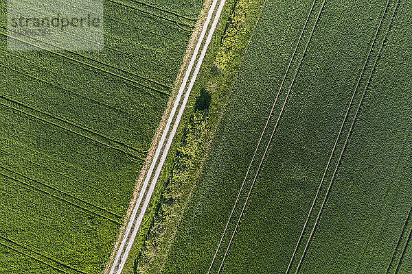 Deutschland  Bayern  Luftaufnahme einer Landstraße  die sich zwischen grünen Feldern erstreckt